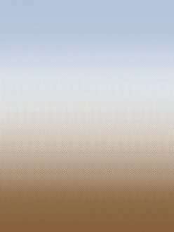 Vzorek obrazové tapety Fog brown-blue